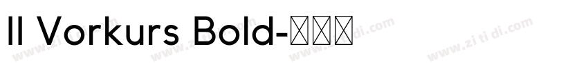 II Vorkurs Bold字体转换 II Vorkurs Bold字体转换